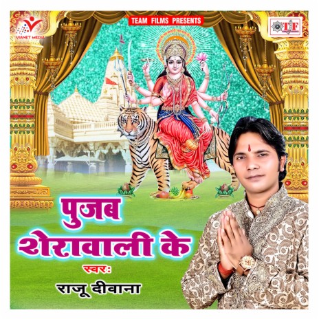 Hota Puja Ke Tayariya | Boomplay Music