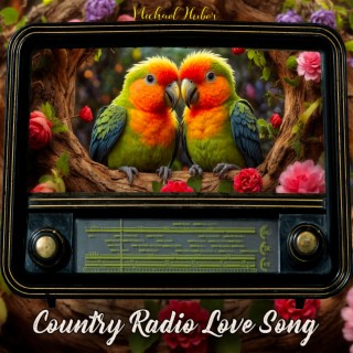 Country Radio Love Song