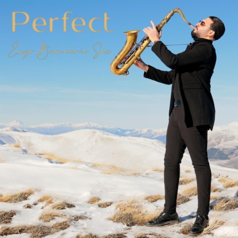 Perfect (Special Version) | Boomplay Music