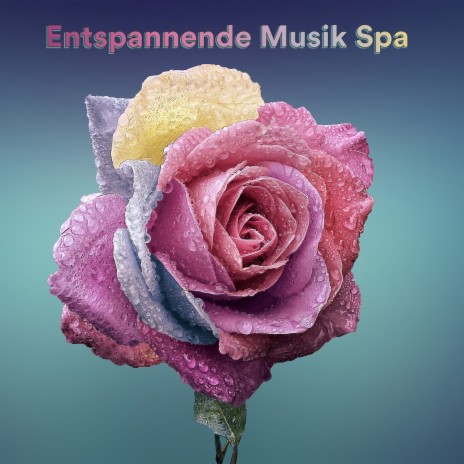 Eagle Spirit ft. Meditationsmusik Sammlung & Entspannende Musik Wellness