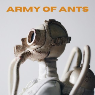 Army of ants