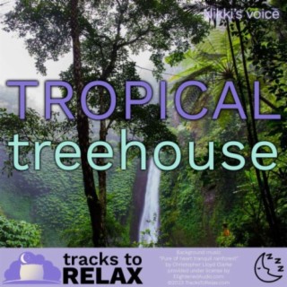 NEW - Tropical Treehouse (Female Voice) Sleep Meditation