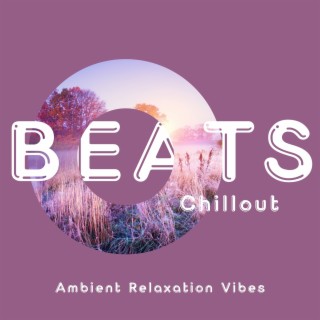 Ambient Relaxation Vibes: Gentle Chillout Music