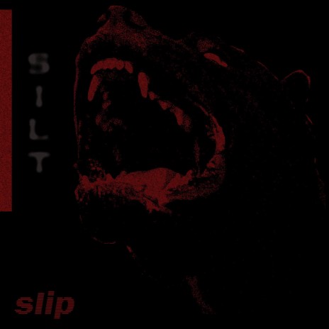slip | Boomplay Music