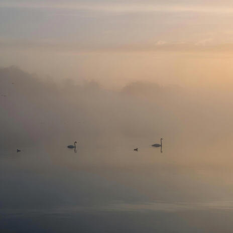 Early Morning Fog | Boomplay Music