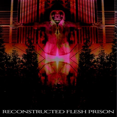 reconstructed flesh prison | Boomplay Music