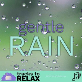 Gentle Rain Ambient Sleep Music (no talking)