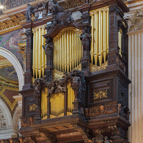 The Sacred Cathedral Organ