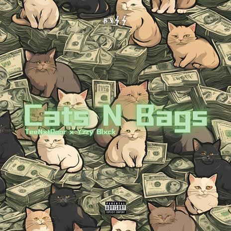 Cats N Bags ft. Yzzy Blxck | Boomplay Music