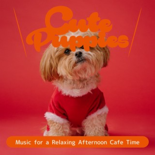 Music for a Relaxing Afternoon Cafe Time