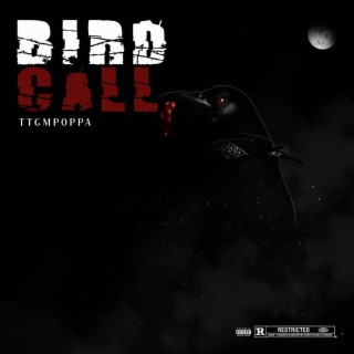 Bird Call