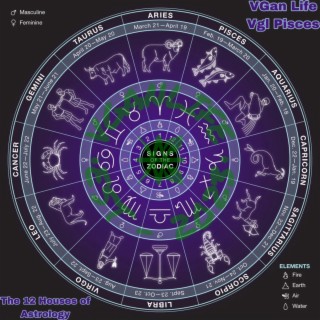 The 12 Houses of Astrology