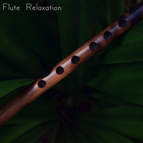 Musing ft. Relaxing Flute Music Zone & Flute Music Ensemble | Boomplay Music