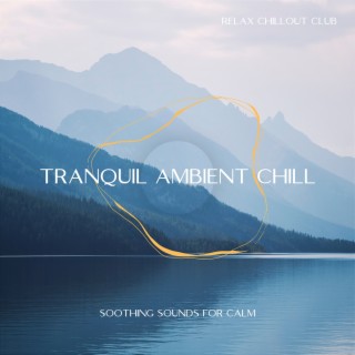 Tranquil Ambient Chill: Soothing Sounds for Calm