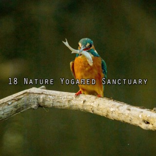 !!!! 18 Nature Yogafied Sanctuary !!!!