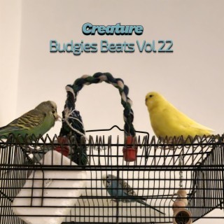 Budgies Beats, Vol. 22