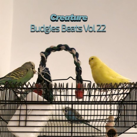 Budgies Beats XXXIV (Vol XXII)