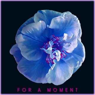 For A Moment lyrics | Boomplay Music
