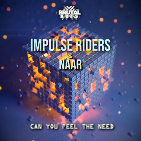 Can You Feel The Need ft. NAAR | Boomplay Music