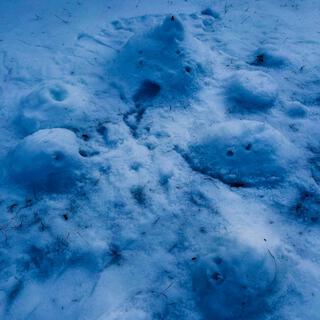 Inexplicable Lost Igloos In The Icy Dew