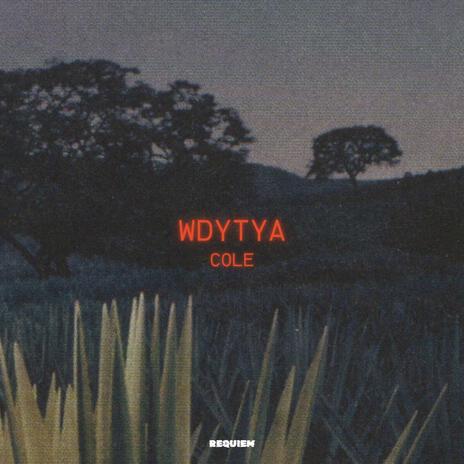 WDYTYA | Boomplay Music