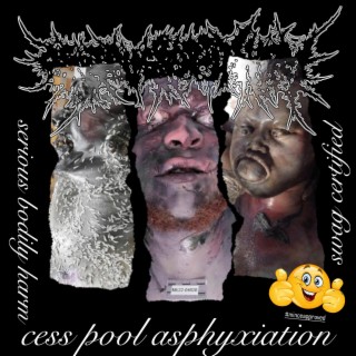 CESSPOOL ASPHYXIATION