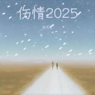 伤情2025 lyrics | Boomplay Music