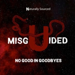 Misguided - No Good in Goodbyes