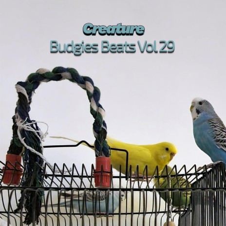 Budgies Beats VI (Vol XXIX)