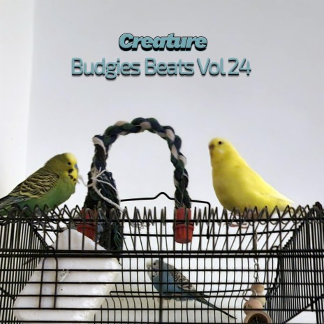 Budgies Beats XVIII (Vol XXIV)