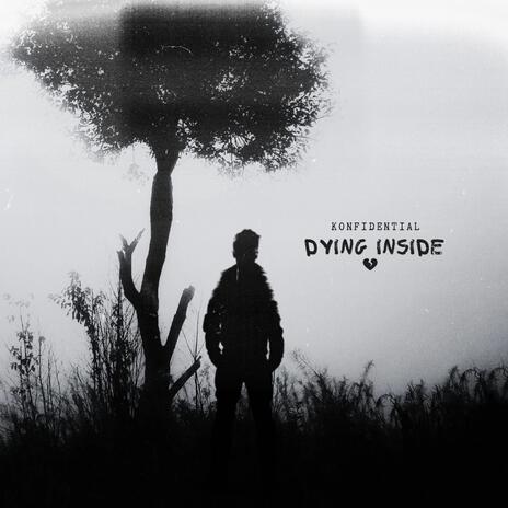 Dying Inside | Boomplay Music