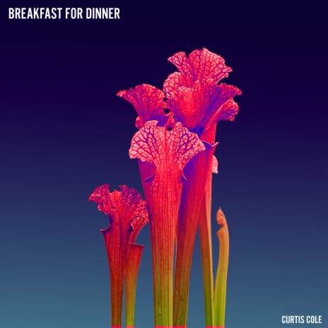 Breakfast for Dinner | Boomplay Music