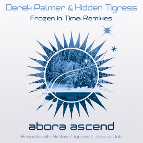 Frozen In Time (Acoustic Mix) ft. Hidden Tigress & ArDao | Boomplay Music