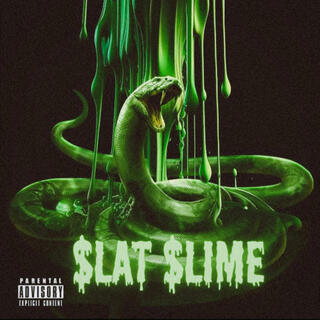 SLAT SLIME