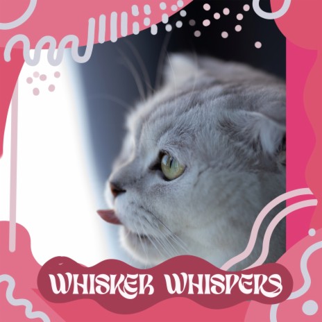 whisker whispers | Boomplay Music