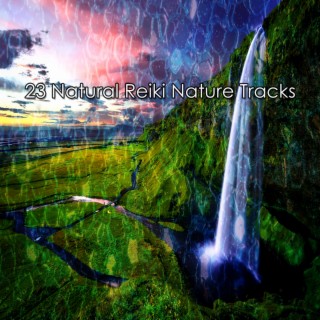 !!!! 23 Natural Reiki Nature Tracks !!!!