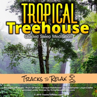 Tropical Treehouse Sleep Meditation (back by request)