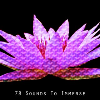 !!!! 78 Sounds To Immerse !!!!