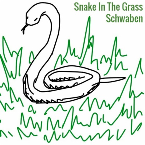 Snake In The Grass | Boomplay Music