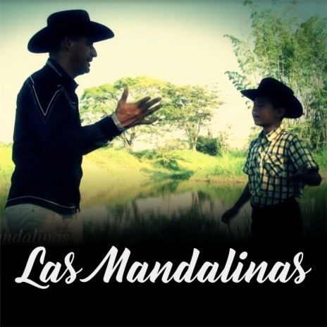 Las Mandalinas ft. David Santiago Peña | Boomplay Music