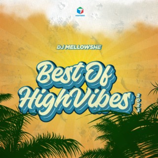Best Of HIGHVIBES 2023 (DJ Mix)