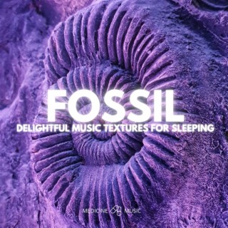 FOSSIL (Delightful Music Textures For Sleeping)