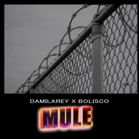 MULE ft. BOLISCO
