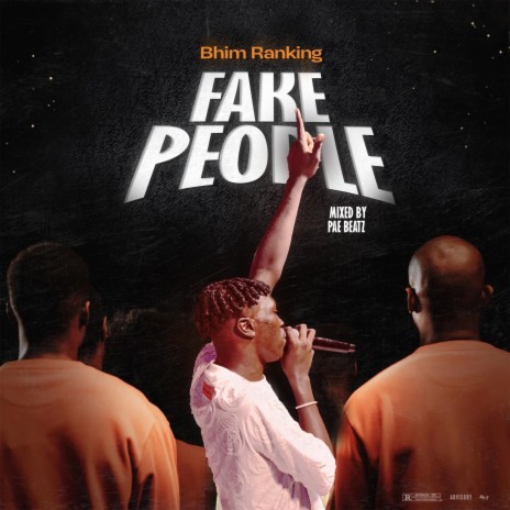 Fake People | Boomplay Music