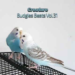 Budgies Beats, Vol. 31