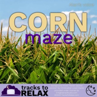 Autumn Corn Maze - Sleep Meditation