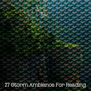 !!!! 27 Storm Ambience For Reading !!!!