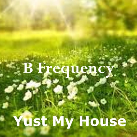 B Frequency | Boomplay Music