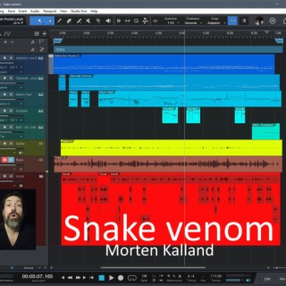 Snake Venom (Instrumental)