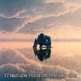!!!! 27 Nature Pond Of The Serene !!!!